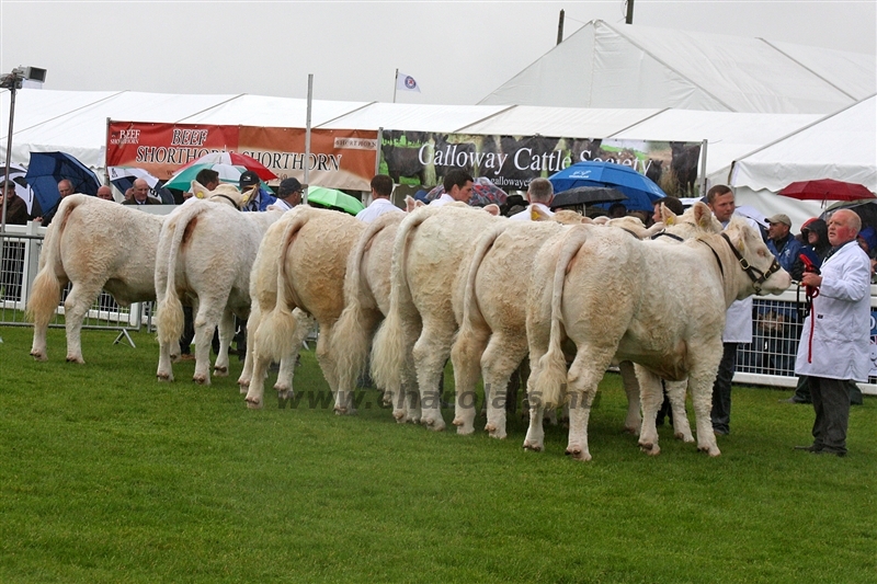 WCC Nagy-Britannia 2012 - Helge